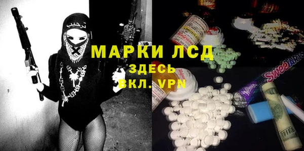 хмурый Алзамай
