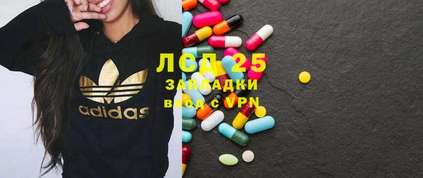 хмурый Алзамай