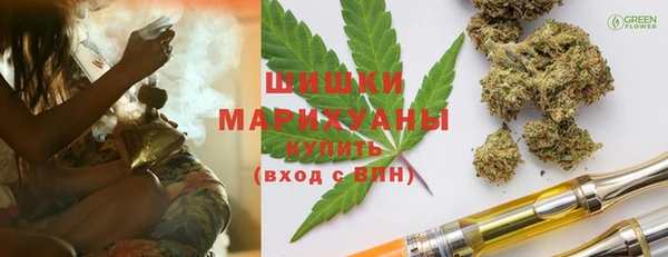 хмурый Алзамай