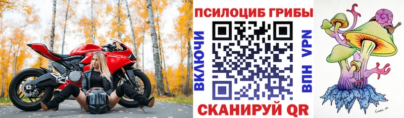 купить наркоту  Среднеколымск  ОМГ ОМГ зеркало  Псилоцибиновые грибы мухоморы 